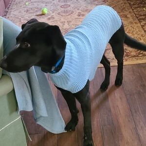 Hand-Crocheted Dog Sweater